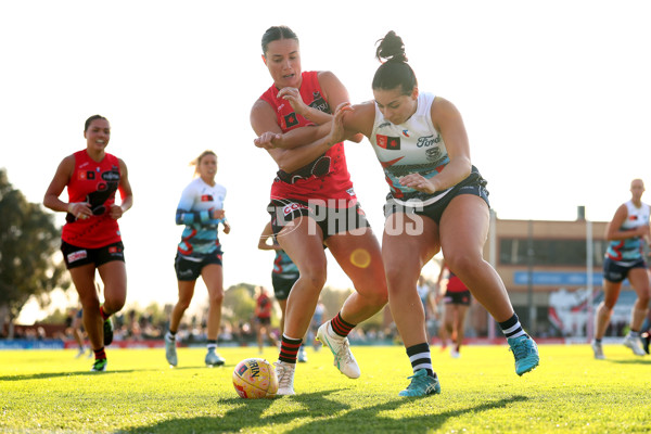 AFLW 2025 Round 04 - Essendon v Geelong - A-62348191