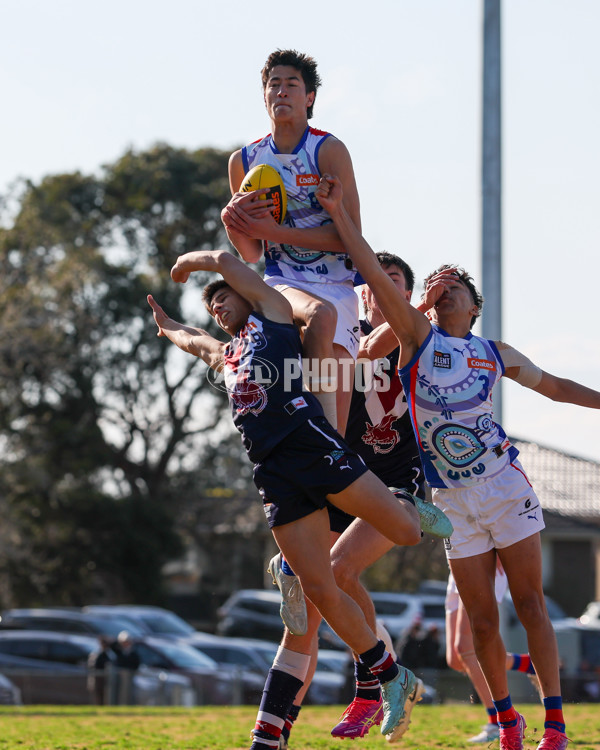 Coates League Boys 2025 Quarter Final - Sandringham Dragons v Oakleigh Chargers - A-62349826