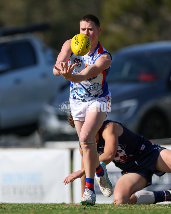 Coates League Boys 2025 Quarter Final - Sandringham Dragons v Oakleigh Chargers - A-62349881