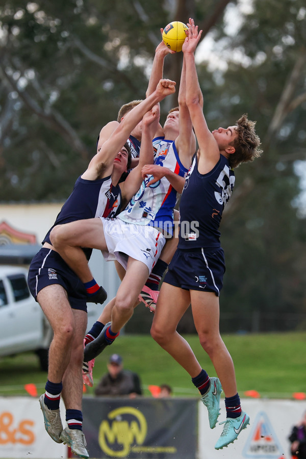 Coates League Boys 2025 Quarter Final - Sandringham Dragons v Oakleigh Chargers - A-62349882
