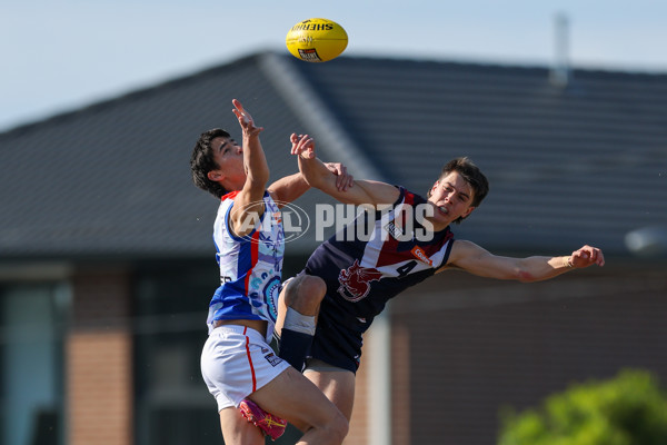 Coates League Boys 2025 Quarter Final - Sandringham Dragons v Oakleigh Chargers - A-62351569
