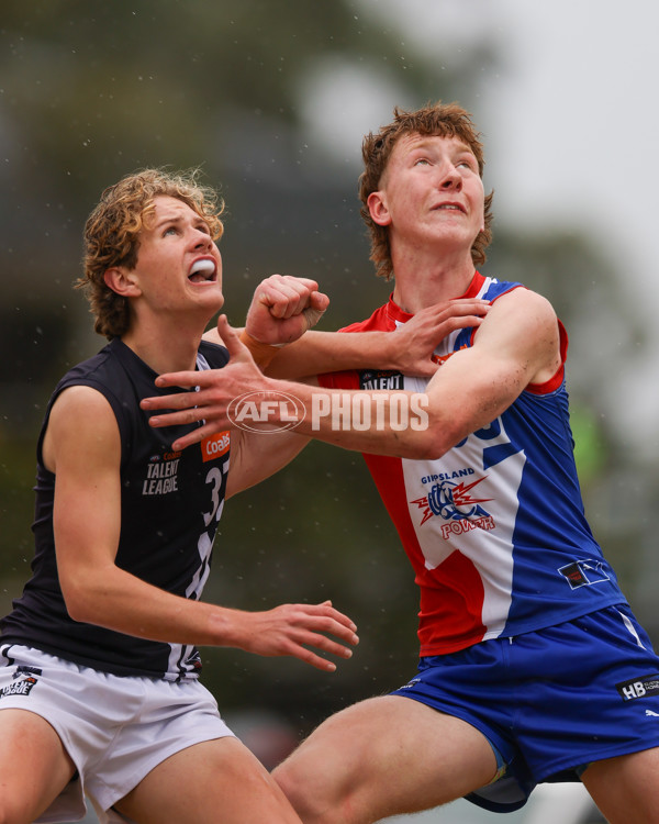 Coates League Boys 2025 Quarter Final - Gippsland Power v Geelong Falcons - A-62352881