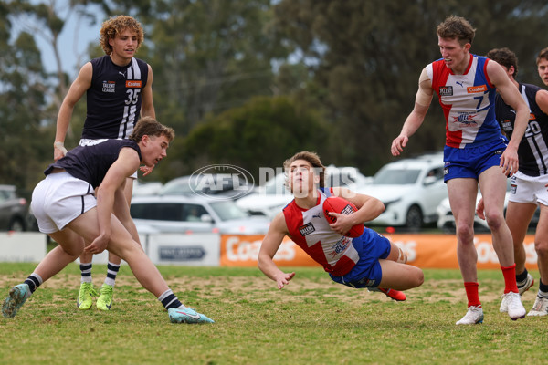 Coates League Boys 2025 Quarter Final - Gippsland Power v Geelong Falcons - A-62353903