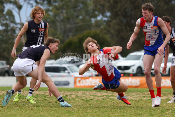 Coates League Boys 2025 Quarter Final - Gippsland Power v Geelong Falcons - A-62353904
