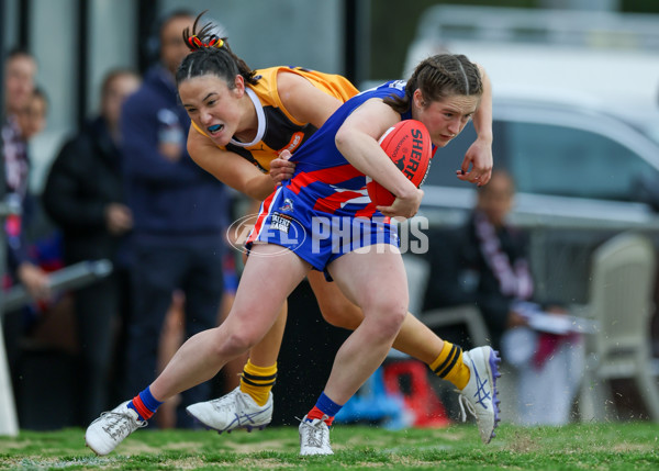 Coates League Girls 2025 Preliminary Final - Dandenong Stingrays v Oakleigh Chargers - A-62353965