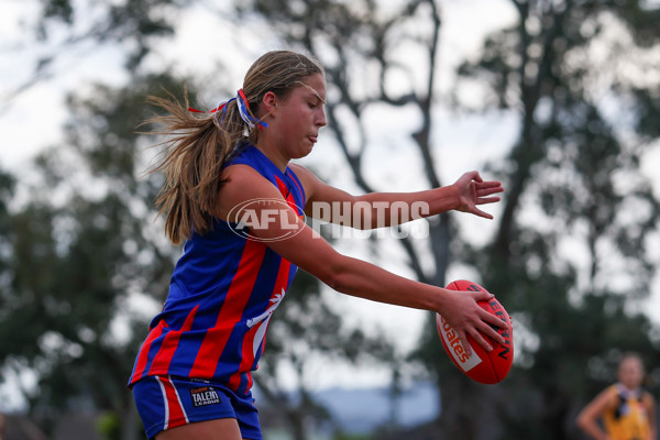 Coates League Girls 2025 Preliminary Final - Dandenong Stingrays v Oakleigh Chargers - A-62355704