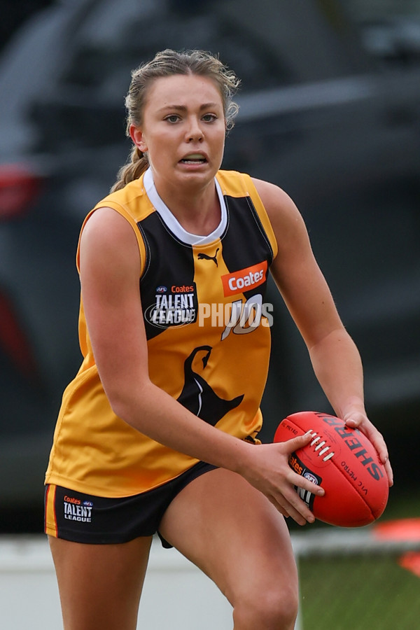 Coates League Girls 2025 Preliminary Final - Dandenong Stingrays v Oakleigh Chargers - A-62355708