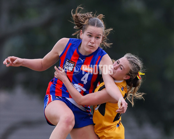 Coates League Girls 2025 Preliminary Final - Dandenong Stingrays v Oakleigh Chargers - A-62355719