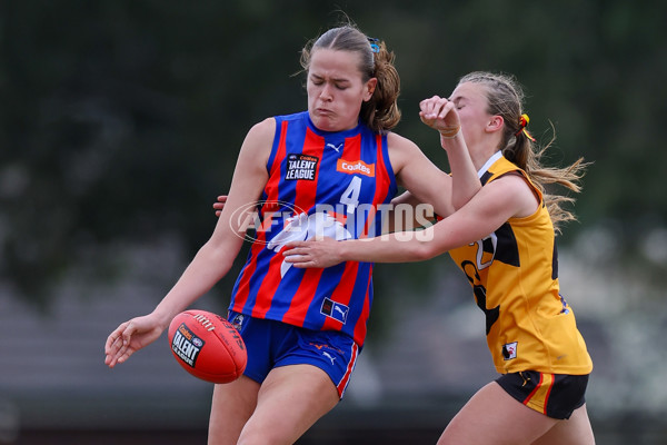 Coates League Girls 2025 Preliminary Final - Dandenong Stingrays v Oakleigh Chargers - A-62355720