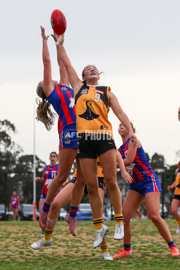 Coates League Girls 2025 Preliminary Final - Dandenong Stingrays v Oakleigh Chargers - A-62355749
