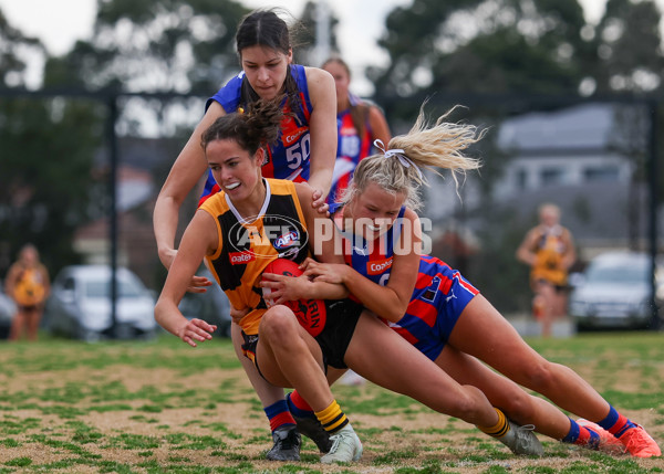 Coates League Girls 2025 Preliminary Final - Dandenong Stingrays v Oakleigh Chargers - A-62355762