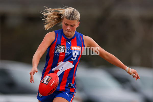 Coates League Girls 2025 Preliminary Final - Dandenong Stingrays v Oakleigh Chargers - A-62356289