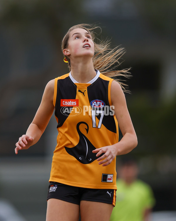 Coates League Girls 2025 Preliminary Final - Dandenong Stingrays v Oakleigh Chargers - A-62356290