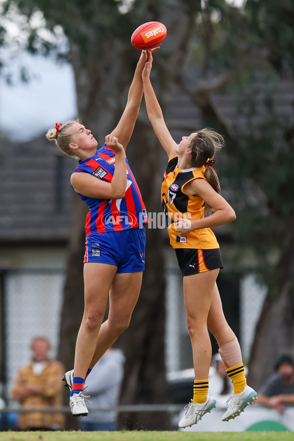 Coates League Girls 2025 Preliminary Final - Dandenong Stingrays v Oakleigh Chargers - A-62356300
