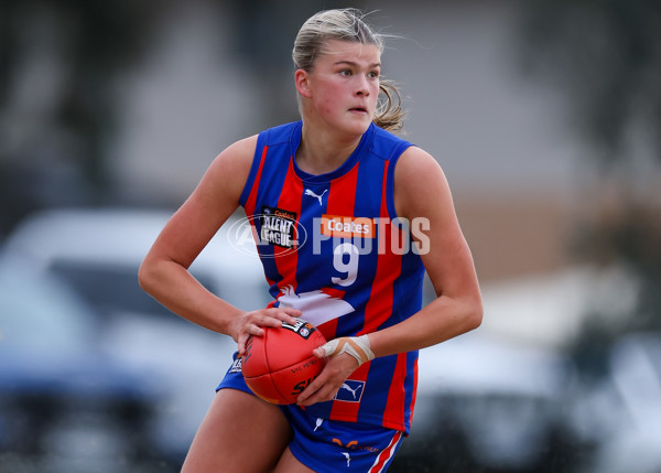 Coates League Girls 2025 Preliminary Final - Dandenong Stingrays v Oakleigh Chargers - A-62356306