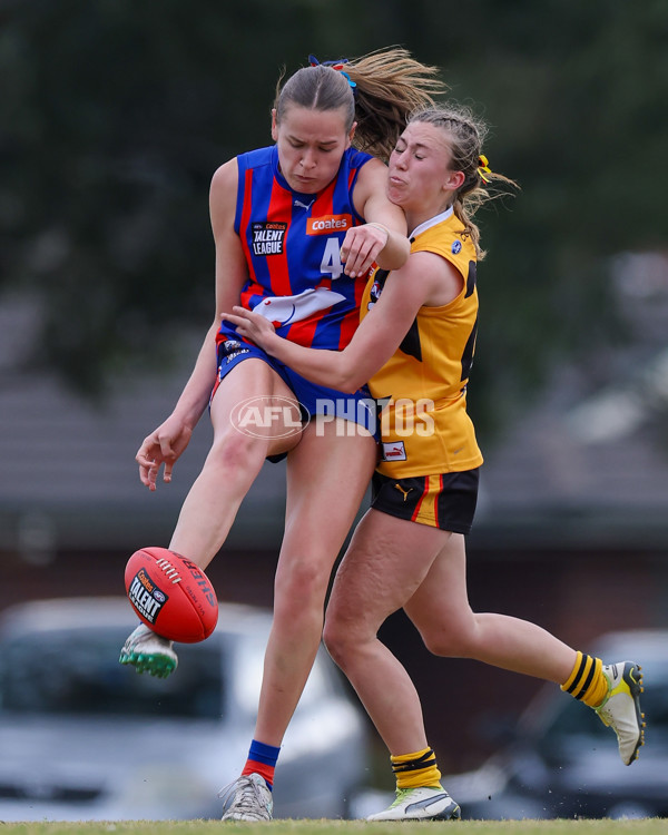 Coates League Girls 2025 Preliminary Final - Dandenong Stingrays v Oakleigh Chargers - A-62356324