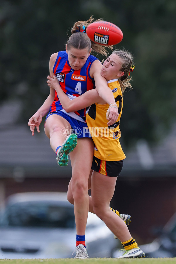 Coates League Girls 2025 Preliminary Final - Dandenong Stingrays v Oakleigh Chargers - A-62356326