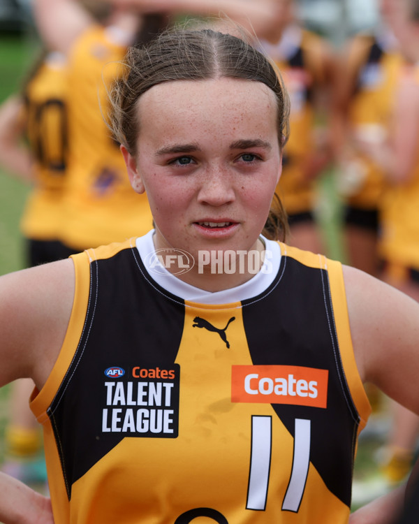 Coates League Girls 2025 Preliminary Final - Dandenong Stingrays v Oakleigh Chargers - A-62356332