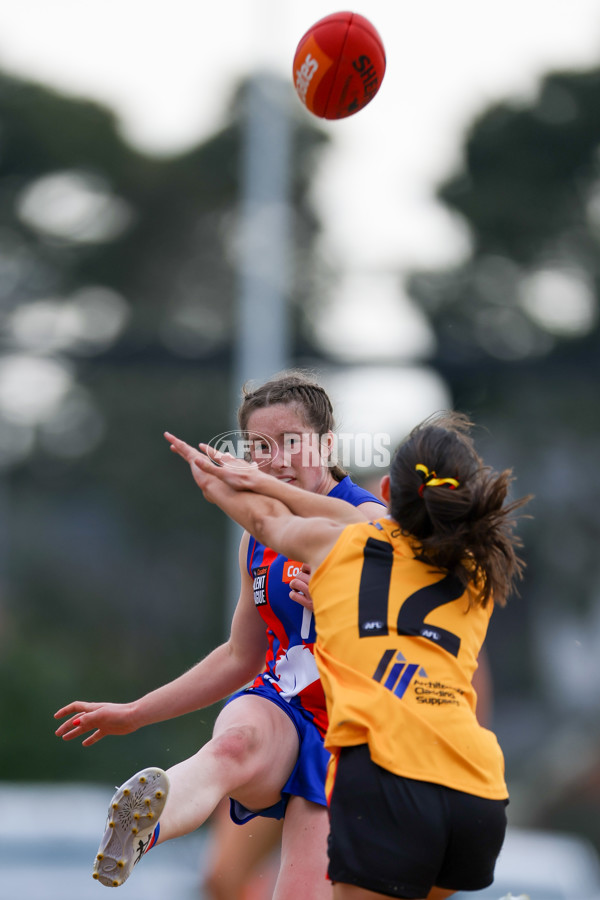 Coates League Girls 2025 Preliminary Final - Dandenong Stingrays v Oakleigh Chargers - A-62356346
