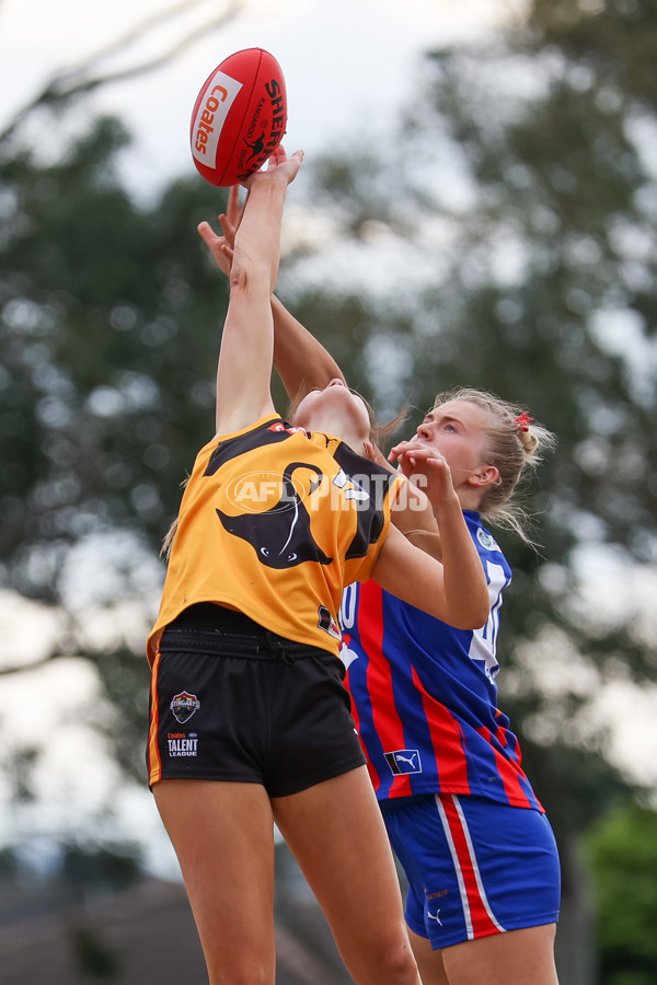 Coates League Girls 2025 Preliminary Final - Dandenong Stingrays v Oakleigh Chargers - A-62356358