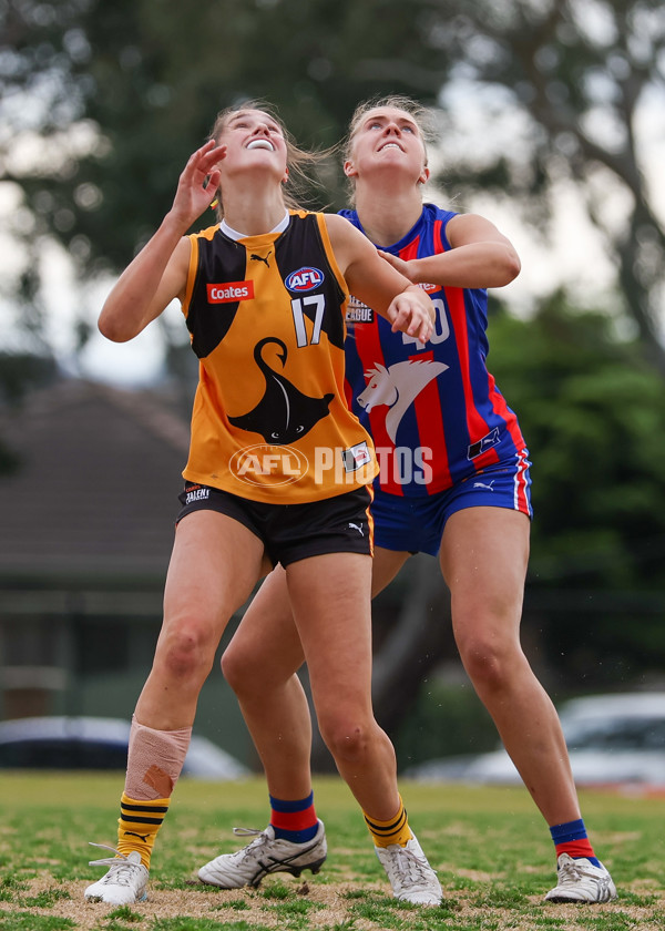 Coates League Girls 2025 Preliminary Final - Dandenong Stingrays v Oakleigh Chargers - A-62356359