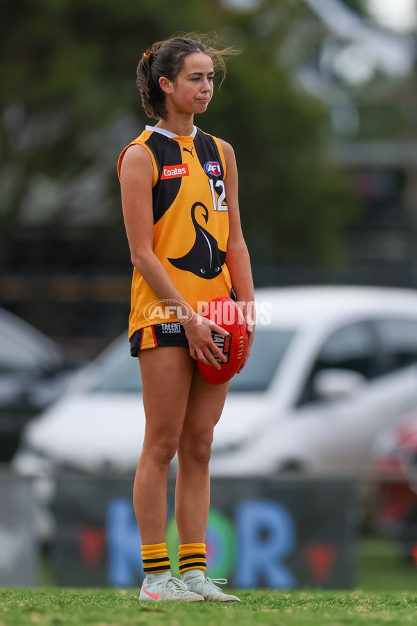 Coates League Girls 2025 Preliminary Final - Dandenong Stingrays v Oakleigh Chargers - A-62356361