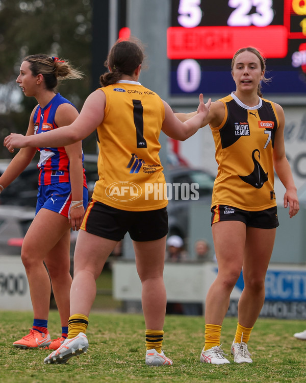 Coates League Girls 2025 Preliminary Final - Dandenong Stingrays v Oakleigh Chargers - A-62356366