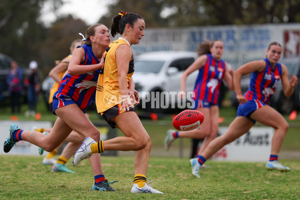 Coates League Girls 2025 Preliminary Final - Dandenong Stingrays v Oakleigh Chargers - A-62356367