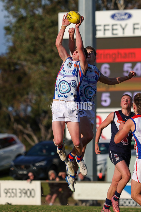 Coates League Boys 2025 Quarter Final - Sandringham Dragons v Oakleigh Chargers - A-62358365
