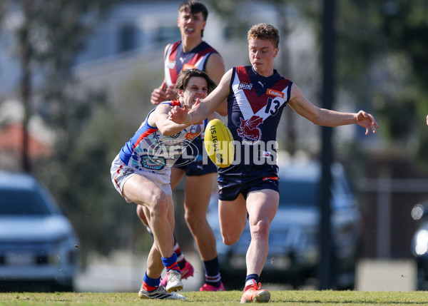 Coates League Boys 2025 Quarter Final - Sandringham Dragons v Oakleigh Chargers - A-62358747