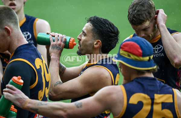AFL 2025 Training - Adelaide 090925 - A-62384275