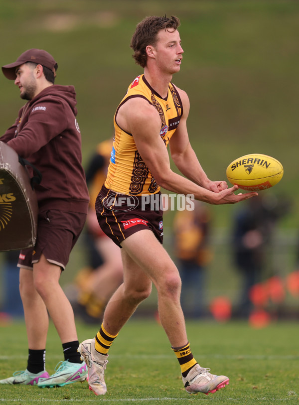 AFL 2025 Training - Hawthorn 100925 - A-62384320