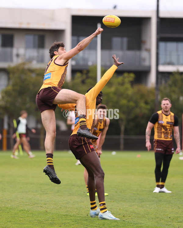 AFL 2025 Training - Hawthorn 100925 - A-62384342