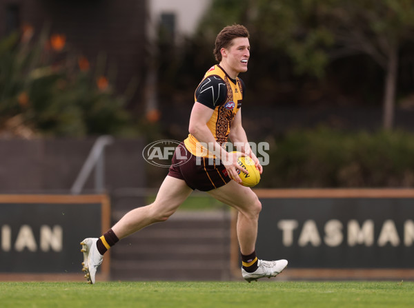 AFL 2025 Training - Hawthorn 100925 - A-62384357