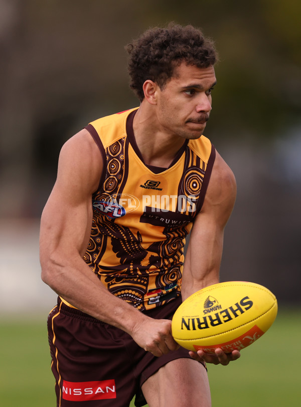 AFL 2025 Training - Hawthorn 100925 - A-62390540