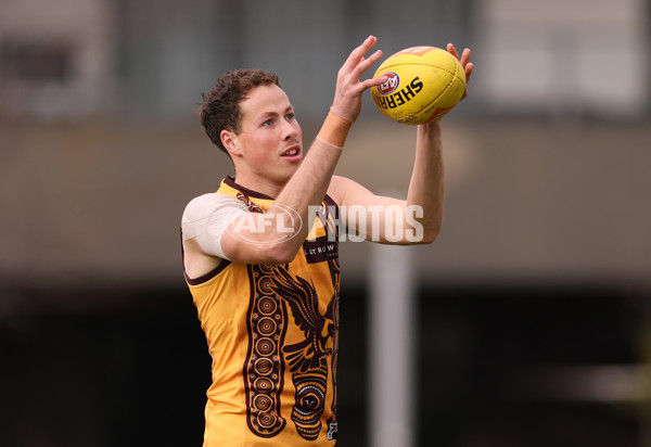 AFL 2025 Training - Hawthorn 100925 - A-62390544