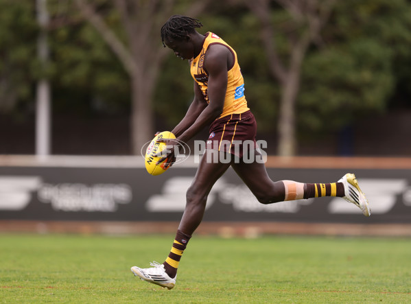 AFL 2025 Training - Hawthorn 100925 - A-62390558