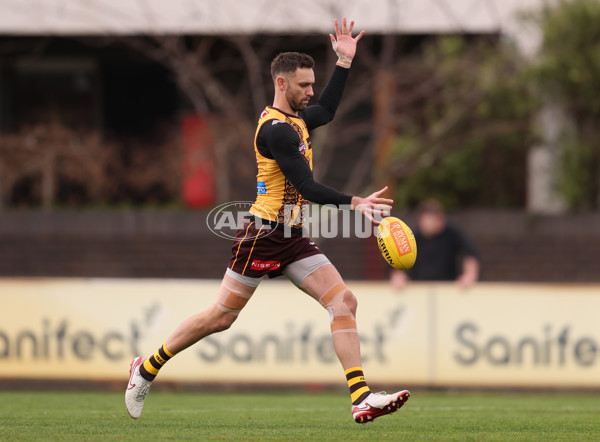 AFL 2025 Training - Hawthorn 100925 - A-62390577