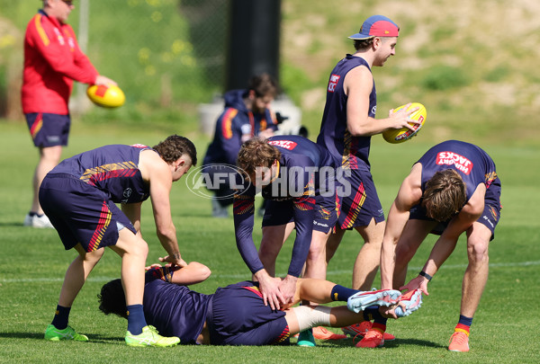 AFL 2025 Training - Adelaide 110925 - A-62481882