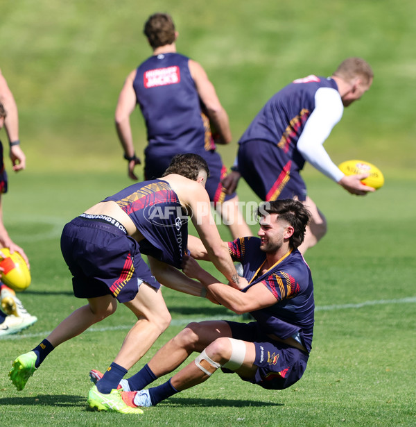 AFL 2025 Training - Adelaide 110925 - A-62481886