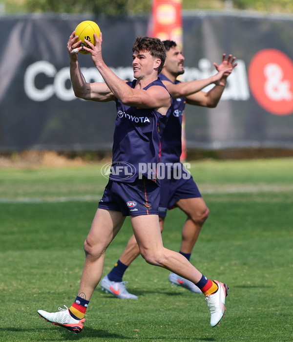 AFL 2025 Training - Adelaide 110925 - A-62531535