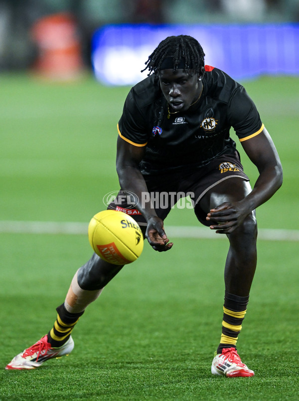 AFL 2025 First Semi Final - Adelaide v Hawthorn - A-62562211