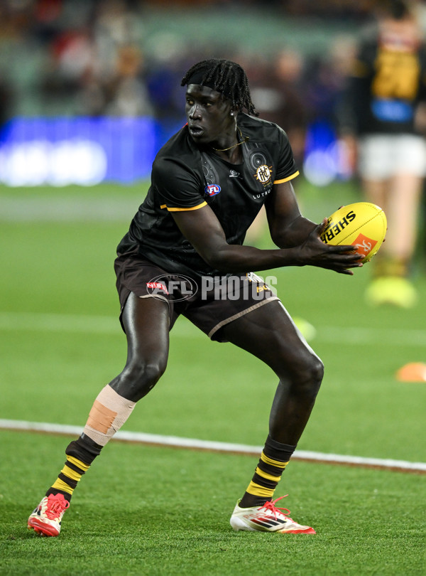 AFL 2025 First Semi Final - Adelaide v Hawthorn - A-62565178