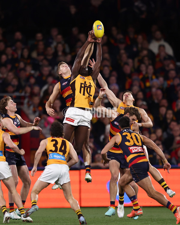 AFL 2025 First Semi Final - Adelaide v Hawthorn - A-62565205