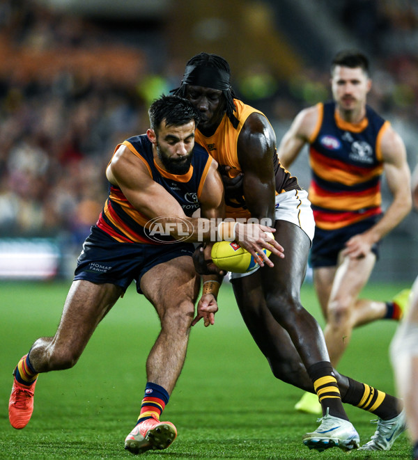 AFL 2025 First Semi Final - Adelaide v Hawthorn - A-62565237