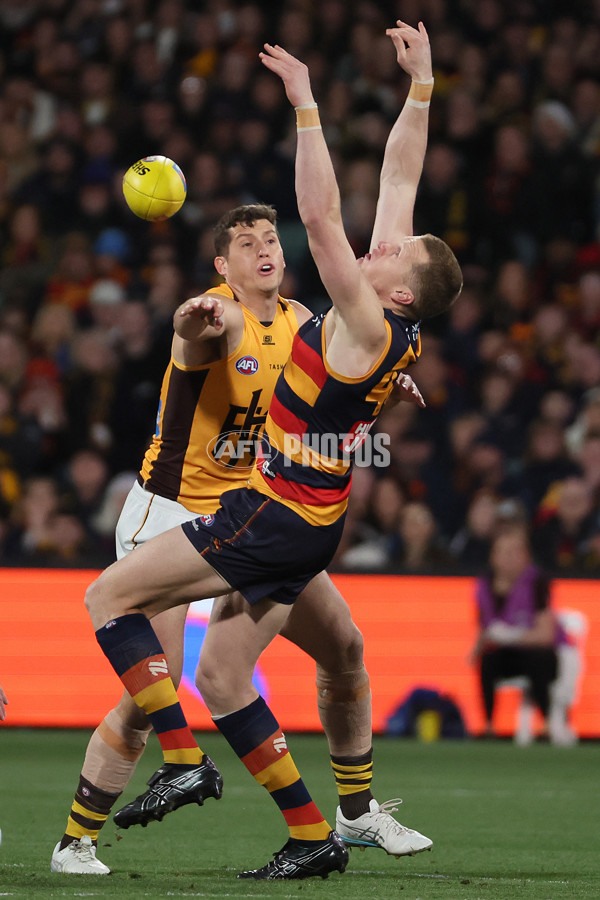 AFL 2025 First Semi Final - Adelaide v Hawthorn - A-62565241