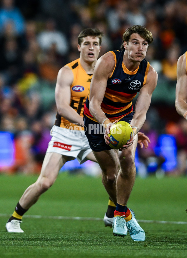 AFL 2025 First Semi Final - Adelaide v Hawthorn - A-62568423