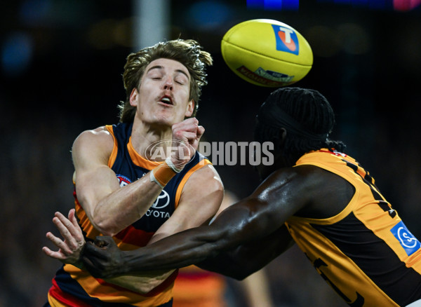 AFL 2025 First Semi Final - Adelaide v Hawthorn - A-62568465