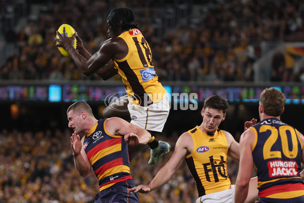 AFL 2025 First Semi Final - Adelaide v Hawthorn - A-62571860