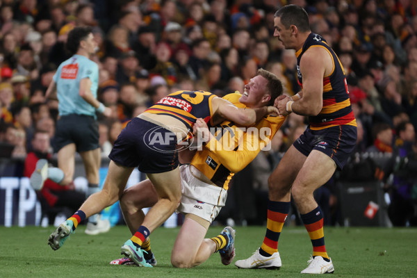 AFL 2025 First Semi Final - Adelaide v Hawthorn - A-62571894